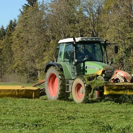 Weber Nieratz * Wangen im Allgäu