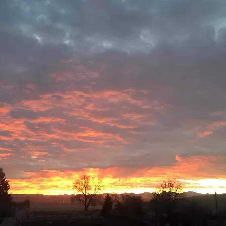 Weber Nieratz * Wangen im Allgäu