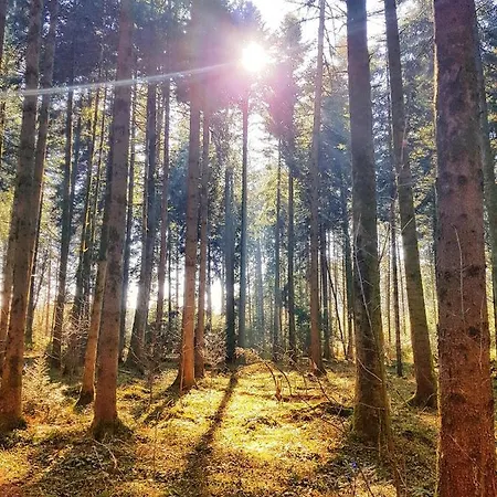 Weber Nieratz * Wangen im Allgäu