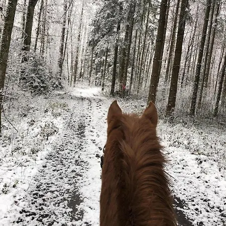 Weber Nieratz Wangen im Allgäu